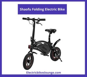 Shaofu Folding Electric Bike